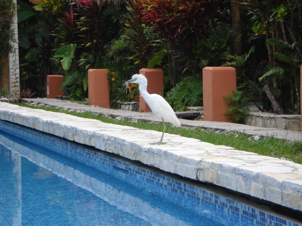 Hotel Jaguar Inn Tikal Buitenkant foto